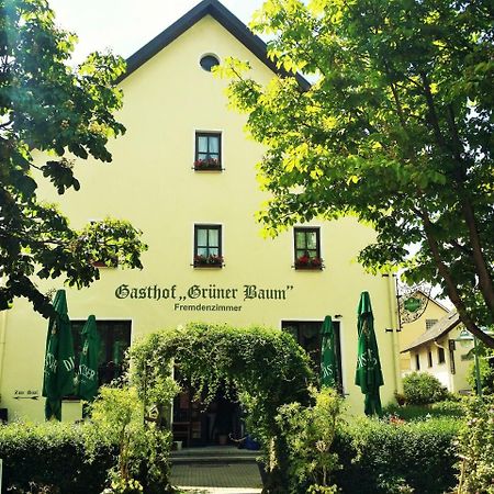 Hotel-Landgasthof Gruener Baum - Dittigheim タウバービショフスハイム エクステリア 写真