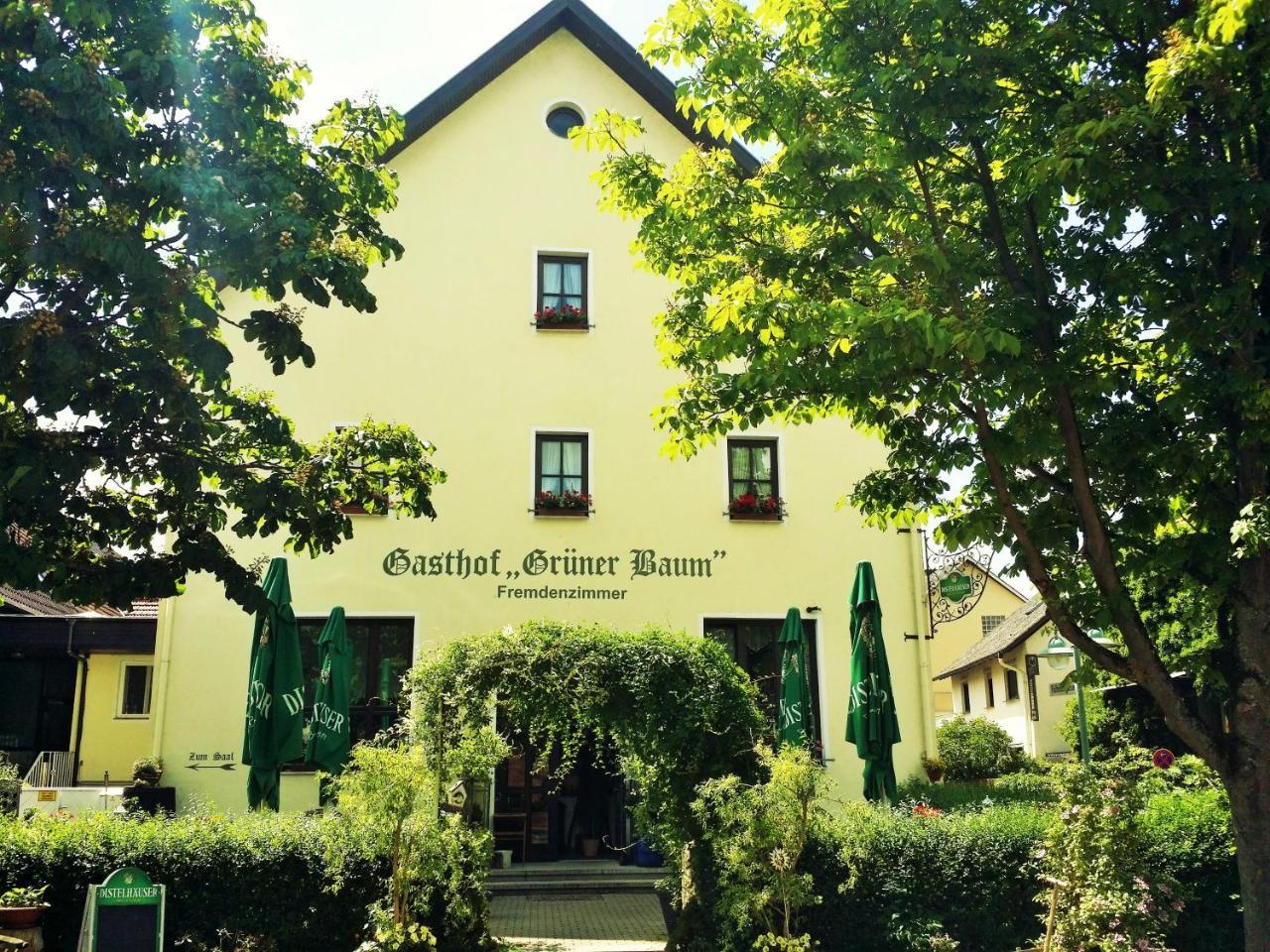 Hotel-Landgasthof Gruener Baum - Dittigheim タウバービショフスハイム エクステリア 写真